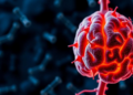 Gut Microbes May Hold the Key to Fairer, Personalized Multiple Sclerosis Care
