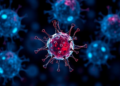 ACTN4 protein target disrupts iron recycling and triggers ferroptosis in leukemia cells