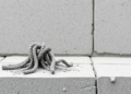 Hooked-end steel fibres boost concrete strength by up to 32.7% but slash workability