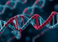 TREX1 enzyme shields tumors by destroying immune-activating DNA fragments
