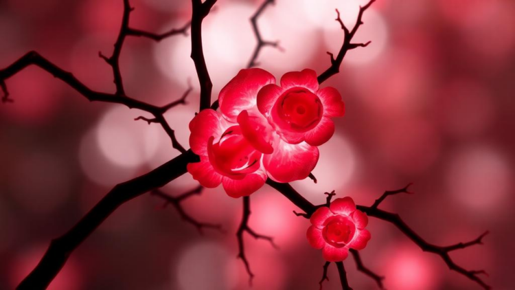 Neutrophils Shift Metabolism in a Triple-Negative Breast Cancer Coculture Model