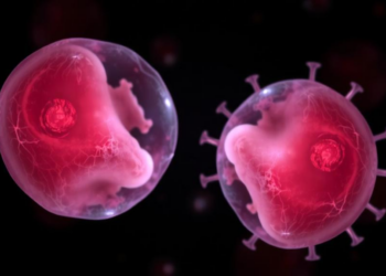 HP1α rise silences MERVL and stalls oxidatively damaged embryos
