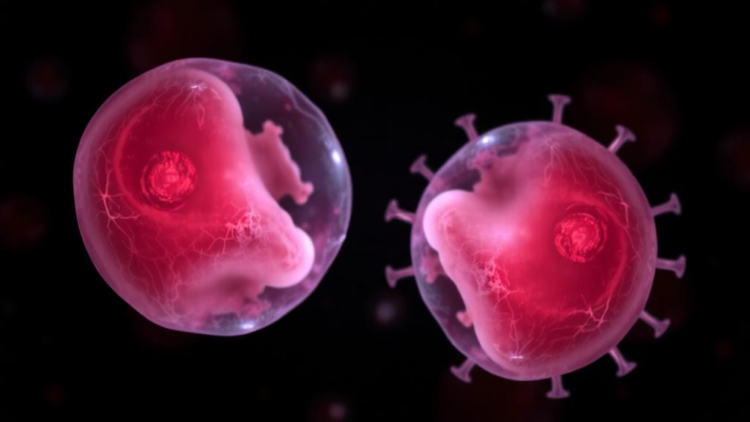 HP1α rise silences MERVL and stalls oxidatively damaged embryos