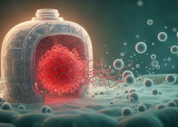 Blocked protein cleanup reroutes toxic TDP-43 cargo through extracellular vesicles