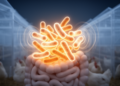 Salmonella Thrives by Listening to Microbial Chatter in Poultry Farms