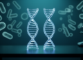 No single short 16S region matches full-length vaginal microbiota sequencing