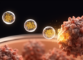 Engineered vesicles deliver miR-204 to triple-negative breast cancer cells in preclinical tests