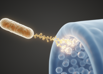 Salmonella's SopB protein makes a key signalling lipid without host kinases