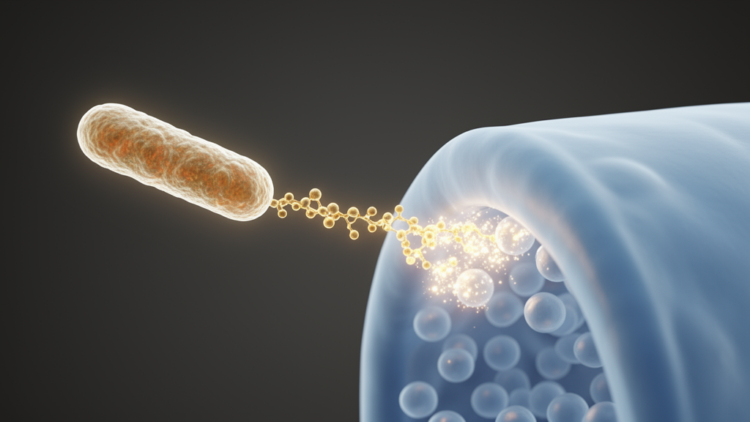 Salmonella's SopB protein makes a key signalling lipid without host kinases
