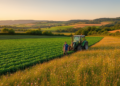 Halving Hazardous Pesticides in Europe Would Reshape Farms, Trade and Land Use