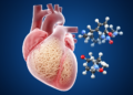 Real-World Data Suggest Acoramidis Outperforms Tafamidis in Heart Amyloidosis