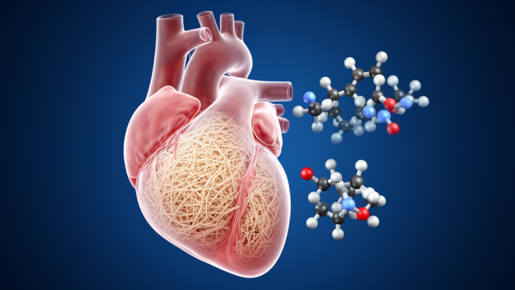 Real-World Data Suggest Acoramidis Outperforms Tafamidis in Heart Amyloidosis