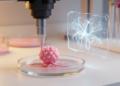 AI Meets Bioprinting to Build Tumor Models for Drug Screening