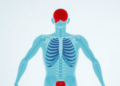 Blood Clues Reveal How Healthy Diets Leave Their Mark on Aging Bodies