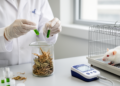 Desert Plant Extracts Boost Diabetes Drug Effects in Diabetic Rats