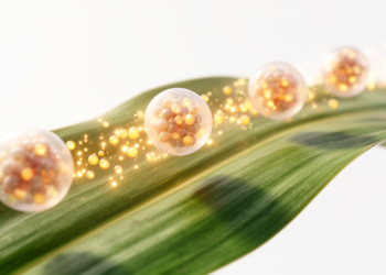 Smart Nanocarriers Promise Sustained Delivery of Biostimulants for Sustainable Crops