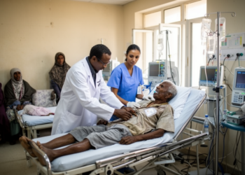 Stroke and seizures dominate neurological emergencies in Somali hospital cohort