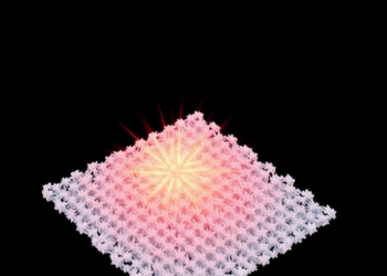 BN-coated graphene aerogel composite spreads heat and shields EMI