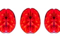 Brain Network Scans Reveal Depression Looks Different in Teenagers and Adults