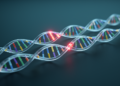 New method reads sequencing errors directly from overlapping reads to spot rare mutations