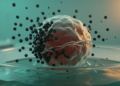 Cobalt-Free Strontium Hexaferrite Nanoparticles Show Magneto-Mechanical Cancer Cell Killing in Vitro