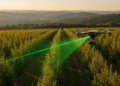 Drone laser scans slash the cost of forecasting plantation forest growth