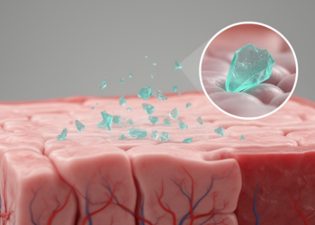 PET Microplastics Linked to Pregnancy Loss Mechanisms in Exploratory Study