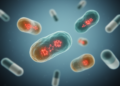 Macrolide Resistance in Urogenital Mycoplasma and Ureaplasma Reaches Alarming Levels Worldwide