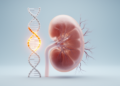 ACE gene variant linked to early kidney damage in children with type 1 diabetes