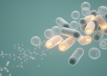 O-antigen loss helps Klebsiella pneumoniae survive meropenem stress