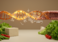 Vegetarian diet does not offset ABCG2 gene variant's hyperuricemia risk in Taiwanese cohort