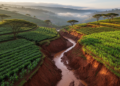 Erosion and land use reshape soil selenium availability in Kenyan highlands