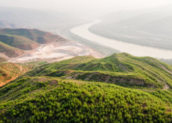 Vegetation recovers across Yellow River Basin mining patches as new disturbance fades