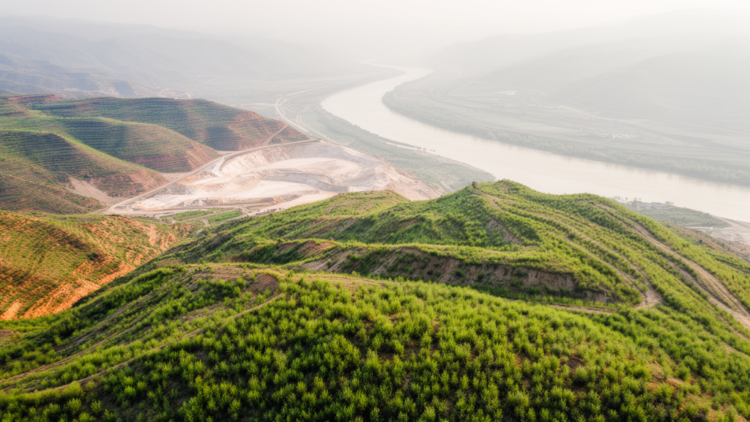 Vegetation recovers across Yellow River Basin mining patches as new disturbance fades