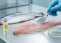 Peppermint Oil Nanocarriers in Gelatin Coatings Slow Microbial Spoilage of Trout Fillets