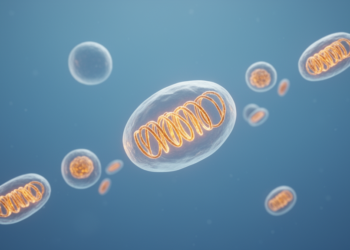 Exosomes, mitochondrial vesicles and microRNA cargo emerge as a new chemopreventive frontier in cancer