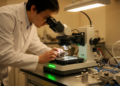 New microscopy method reaches 2-mm-deep neuronal imaging in the mouse brain