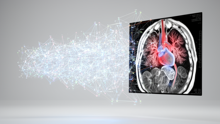 Funnel ReLU outperforms standard activations in medical image deblurring benchmark