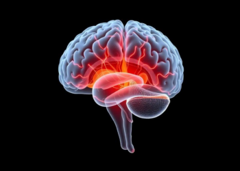 Thalamus Proposed as Convergence Hub in New Restless Legs Syndrome Model
