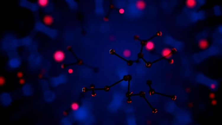 Blood markers flag drug-resistant epilepsy in children, study finds
