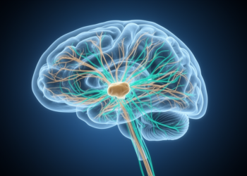 Neural Field Model Fitting Suggests Reduced Corticothalamic Integrity in Disorders of Consciousness