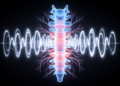 Your Heartbeat Times the Spinal Cord: Study Reveals Rhythmic Gate of Nerve Excitability