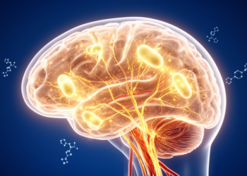 Energy's Hidden Role in Consciousness: A New Framework Puts Brain Metabolism in the Spotlight