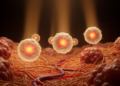 Disease Microenvironments May Reshape the Safety of Near-Infrared Theranostic Nanomaterials, Review Finds
