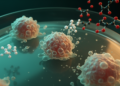 Myo-Inositol Boosts Doxorubicin-Induced Apoptosis in Breast Cancer Cells in Vitro