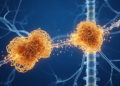 Two SOD1 Aggregate Strains Differ in How Fast ALS-Like Disease Spreads to the CNS