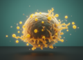 Scientists map the signals that turn monocytes into lipid-handling macrophages