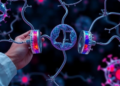 Scientists Map the Iron Recycling Switch That Decides Whether Cells Live or Die