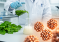 Jam Tree Leaf Extract Yields Copper-Doped Zinc Oxide Nanoparticles With Antimicrobial Power