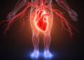 Mean circulatory filling pressure emerges as key to cardiac output and edema risk